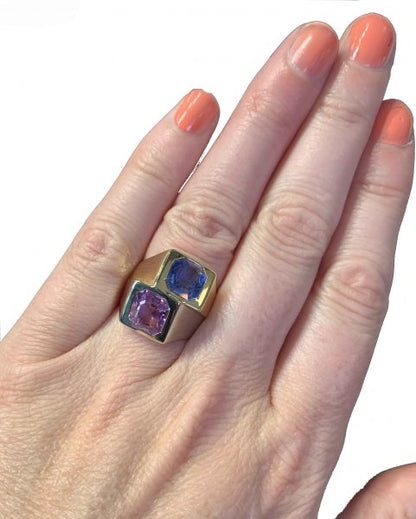 Avant Garde Blue and Pink Sapphire Two Tone Ring